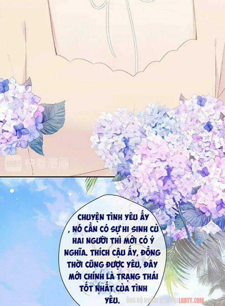 Bảo Vệ Siêu Sao Của Tôi Chapter 73 trang 43