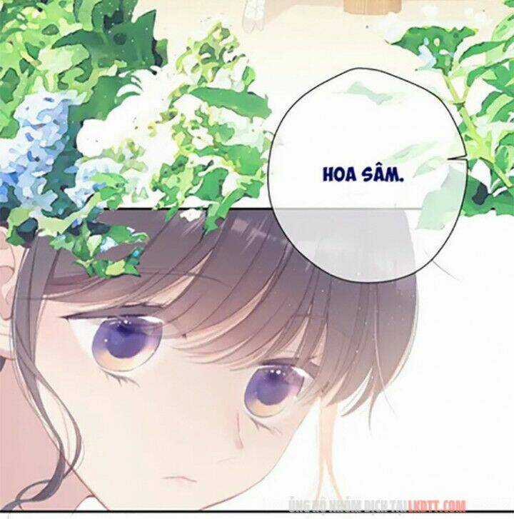 Bảo Vệ Siêu Sao Của Tôi Chapter 73 trang 9