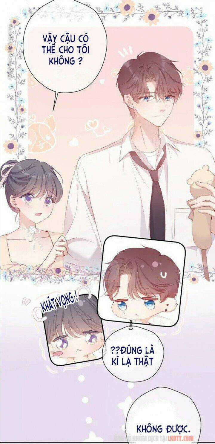 Bảo Vệ Siêu Sao Của Tôi Chapter 74 trang 14