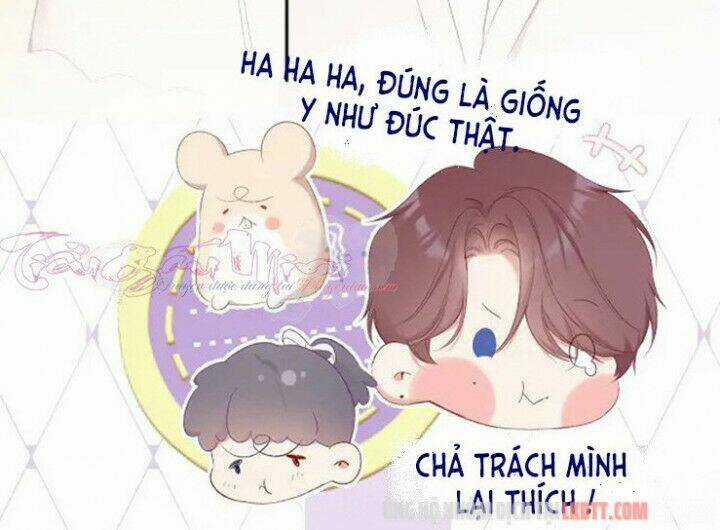 Bảo Vệ Siêu Sao Của Tôi Chapter 74 trang 17