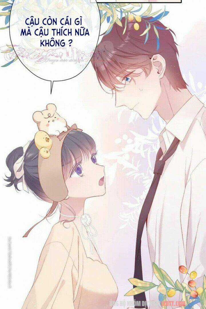 Bảo Vệ Siêu Sao Của Tôi Chapter 74 trang 20