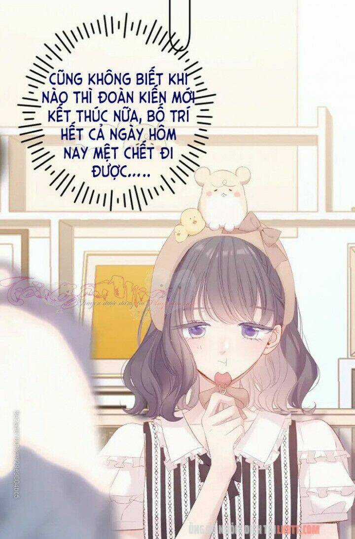 Bảo Vệ Siêu Sao Của Tôi Chapter 74 trang 31