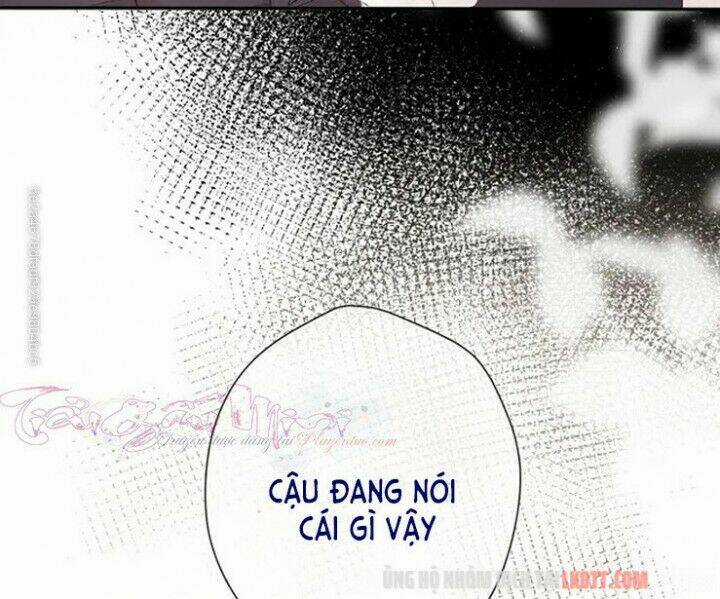 Bảo Vệ Siêu Sao Của Tôi Chapter 74 trang 41