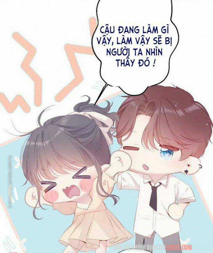 Bảo Vệ Siêu Sao Của Tôi Chapter 74 trang 7