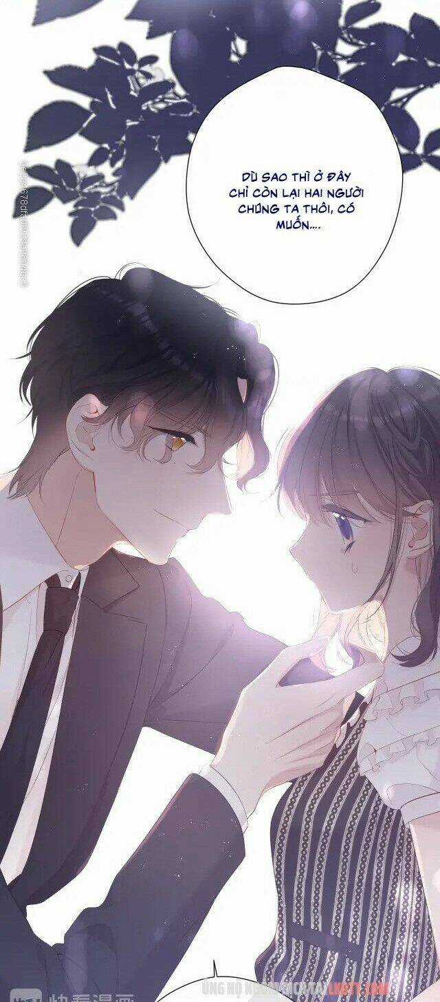 Bảo Vệ Siêu Sao Của Tôi Chapter 75 trang 31