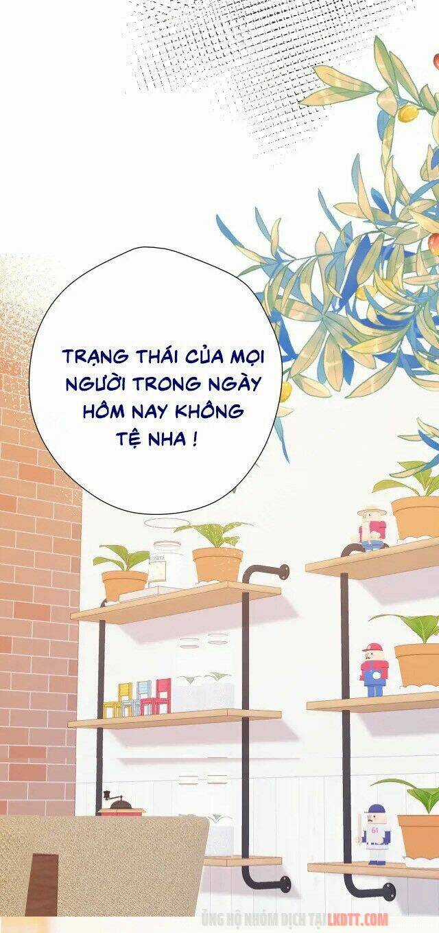 Bảo Vệ Siêu Sao Của Tôi Chapter 75 trang 33