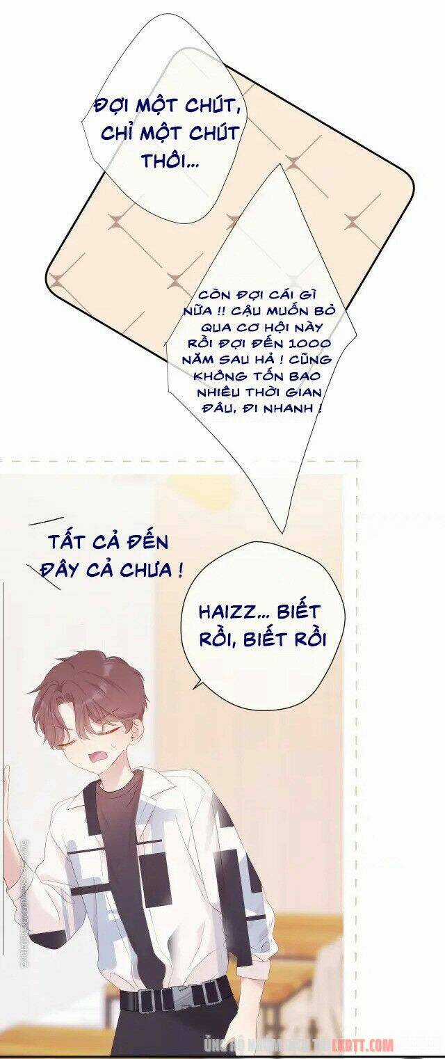 Bảo Vệ Siêu Sao Của Tôi Chapter 75 trang 39