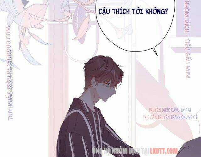 Bảo Vệ Siêu Sao Của Tôi Chapter 77 trang 95
