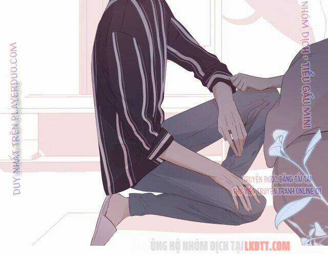 Bảo Vệ Siêu Sao Của Tôi Chapter 78 trang 3