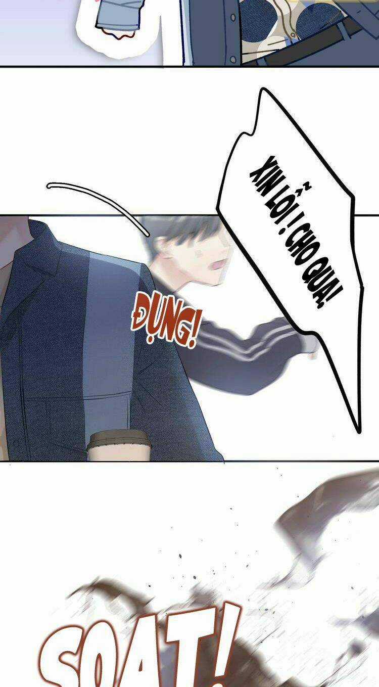 Bảo Vệ Siêu Sao Của Tôi Chapter 8 trang 13