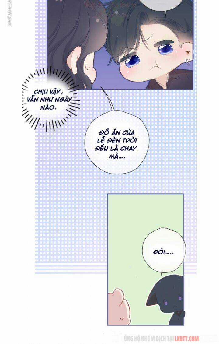 Bảo Vệ Siêu Sao Của Tôi Chapter 80 trang 15