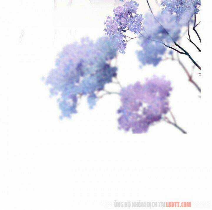 Bảo Vệ Siêu Sao Của Tôi Chapter 80 trang 8