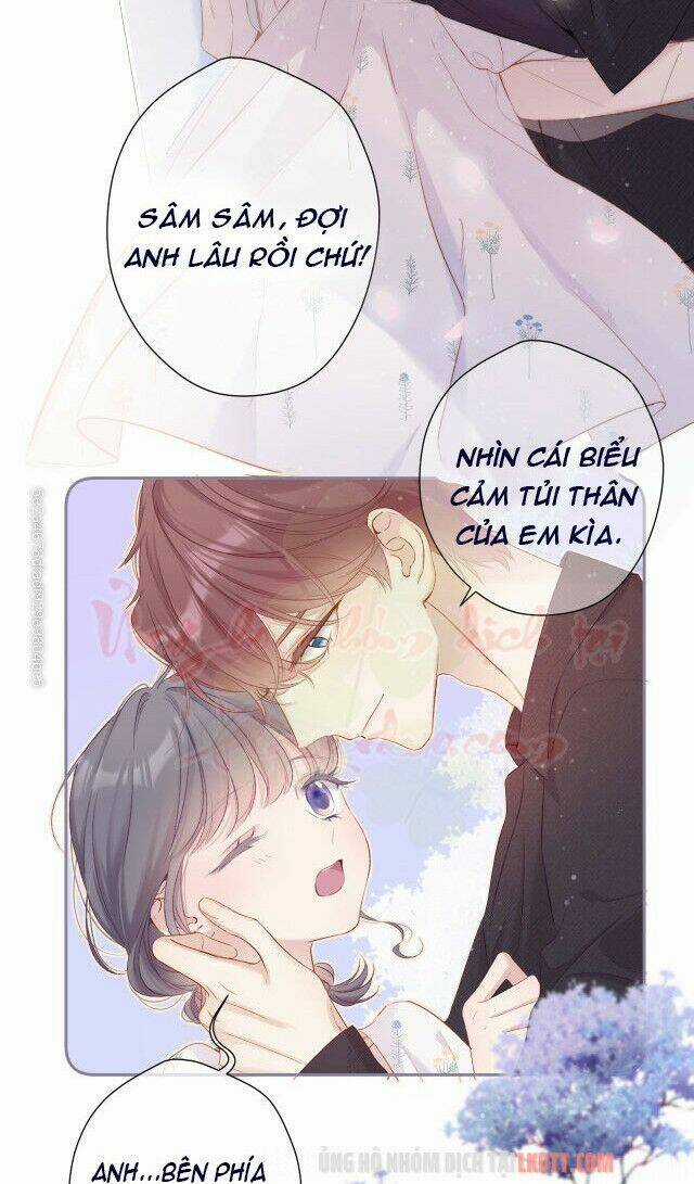 Bảo Vệ Siêu Sao Của Tôi Chapter 81 trang 41