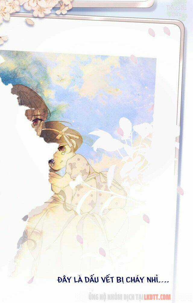 Bảo Vệ Siêu Sao Của Tôi Chapter 83 trang 10