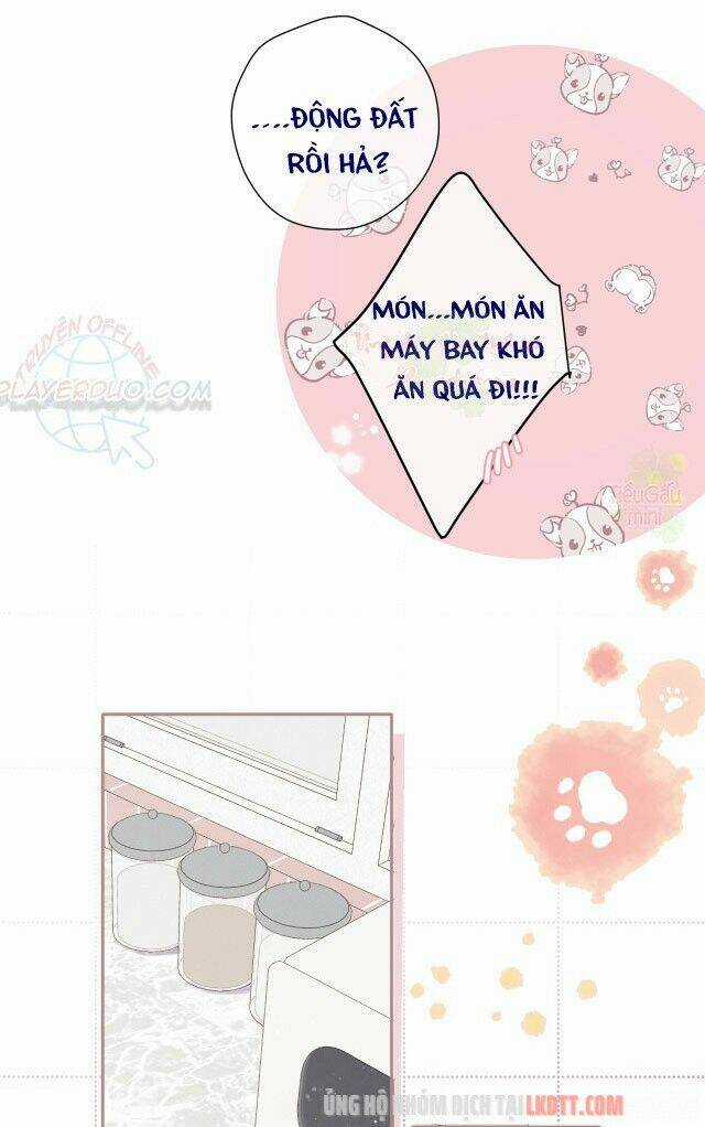 Bảo Vệ Siêu Sao Của Tôi Chapter 83 trang 14