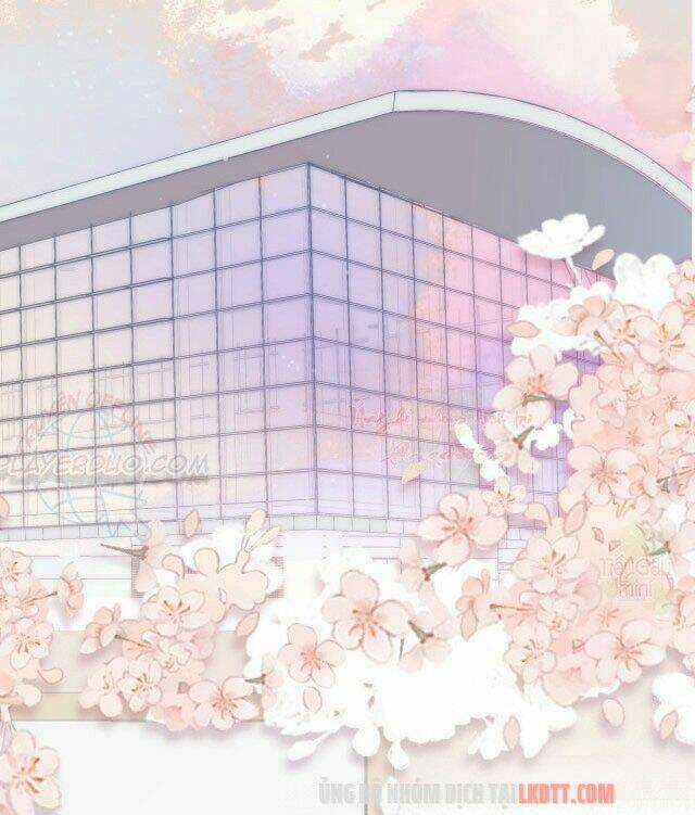 Bảo Vệ Siêu Sao Của Tôi Chapter 83 trang 2