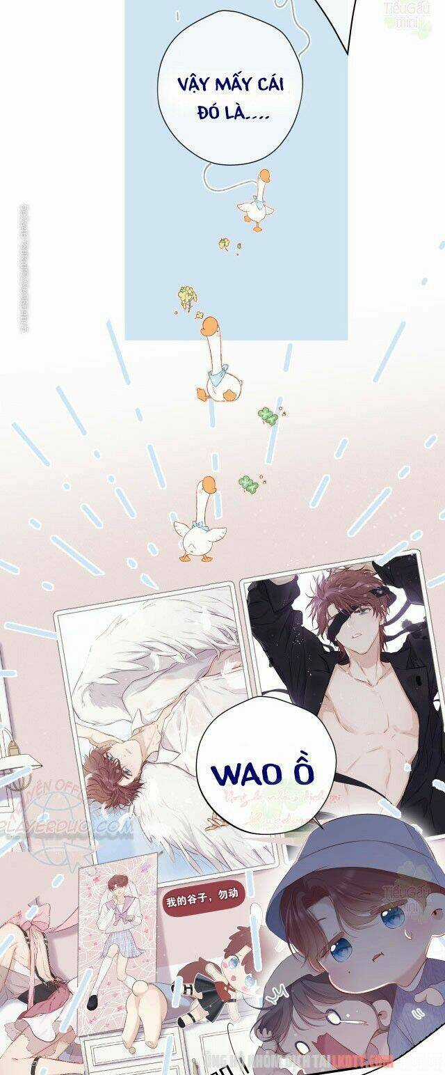 Bảo Vệ Siêu Sao Của Tôi Chapter 83 trang 6