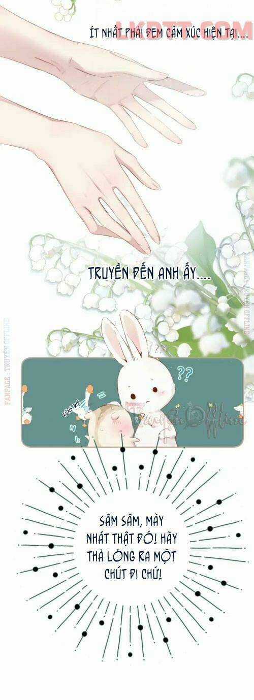 Bảo Vệ Siêu Sao Của Tôi Chapter 84 trang 13