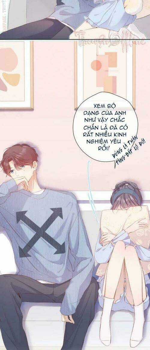 Bảo Vệ Siêu Sao Của Tôi Chapter 84 trang 3