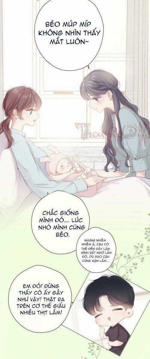 Bảo Vệ Siêu Sao Của Tôi Chapter 88 trang 1