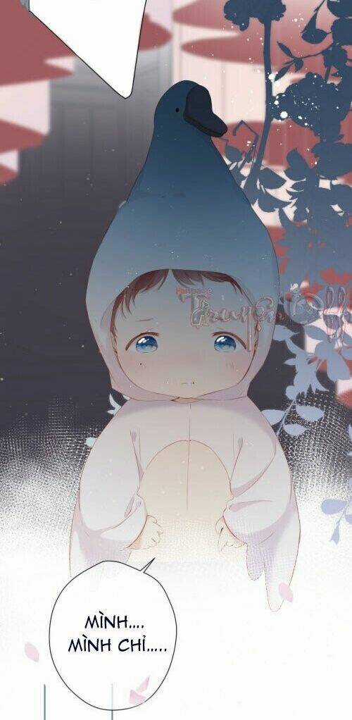 Bảo Vệ Siêu Sao Của Tôi Chapter 88 trang 15