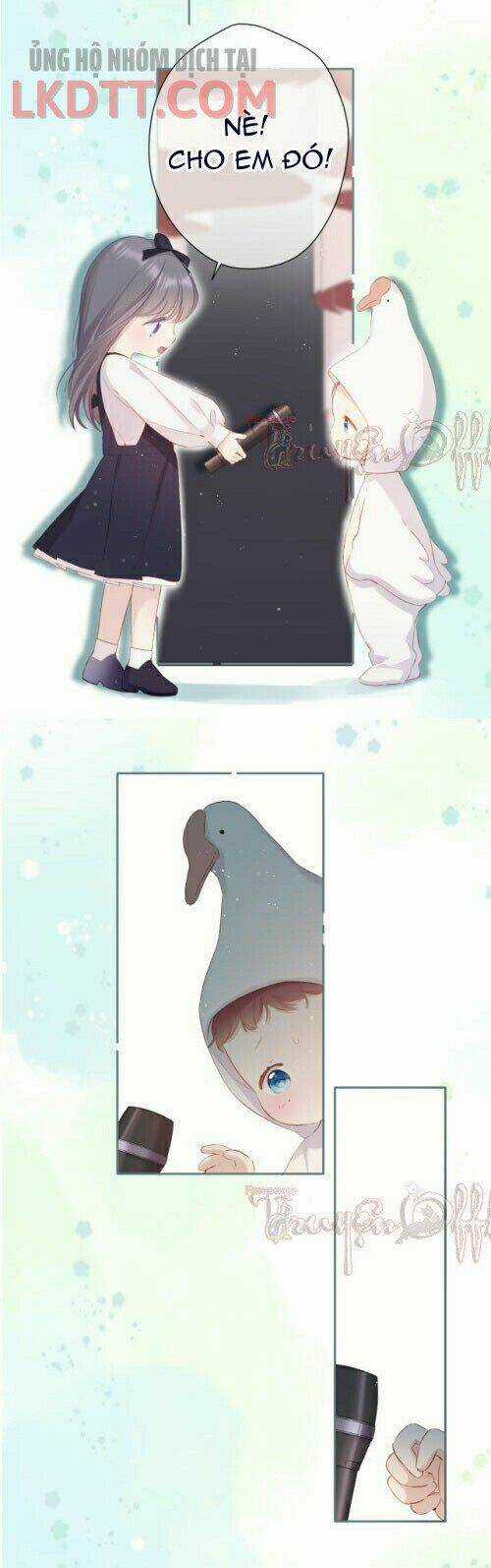 Bảo Vệ Siêu Sao Của Tôi Chapter 88 trang 17