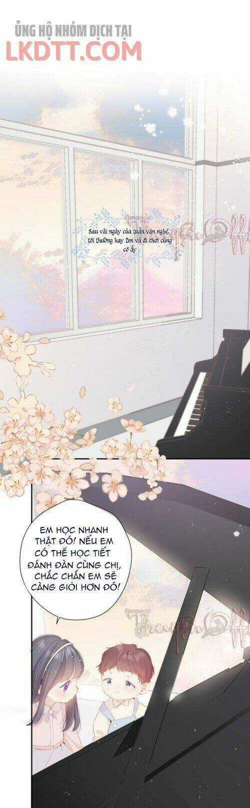 Bảo Vệ Siêu Sao Của Tôi Chapter 88 trang 21