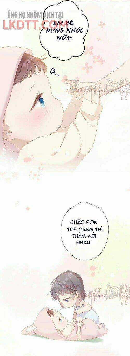 Bảo Vệ Siêu Sao Của Tôi Chapter 88 trang 4