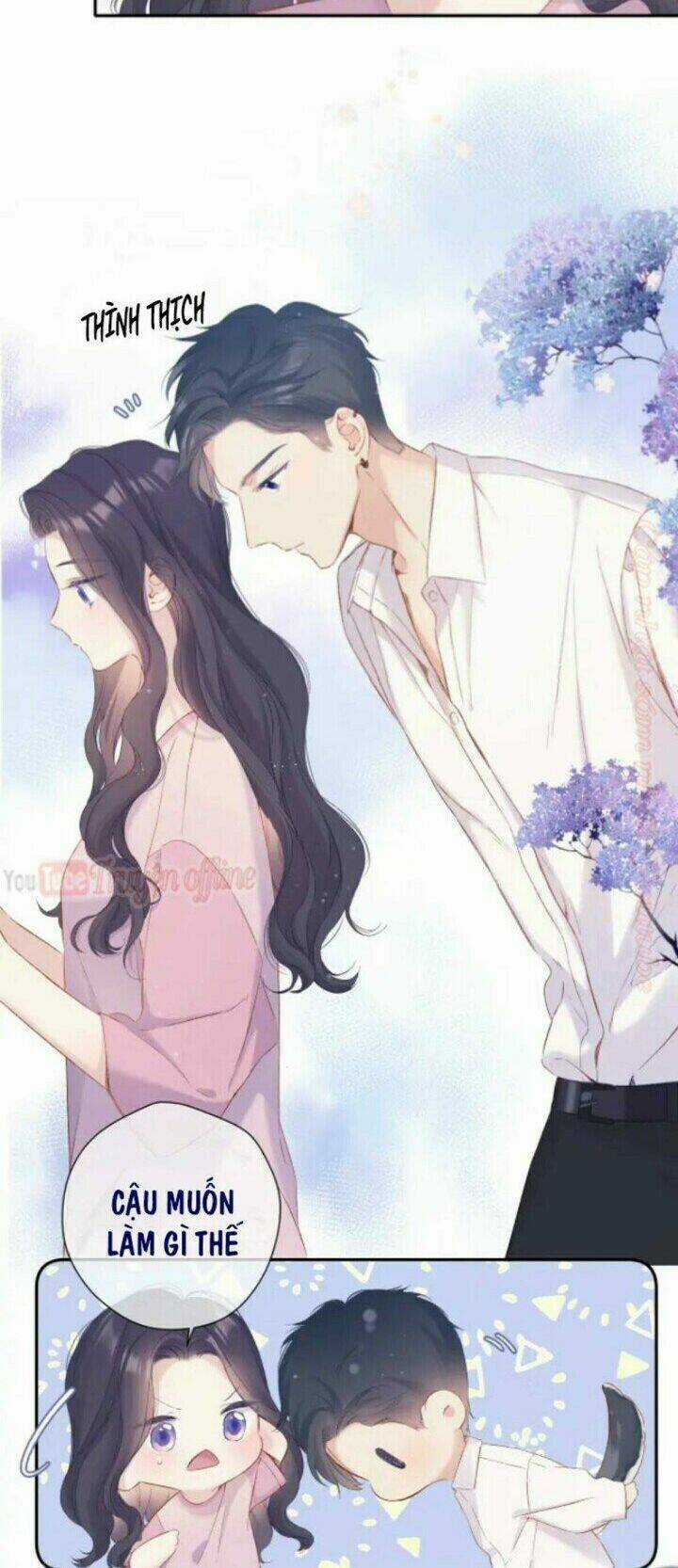 Bảo Vệ Siêu Sao Của Tôi Chapter 91 trang 27