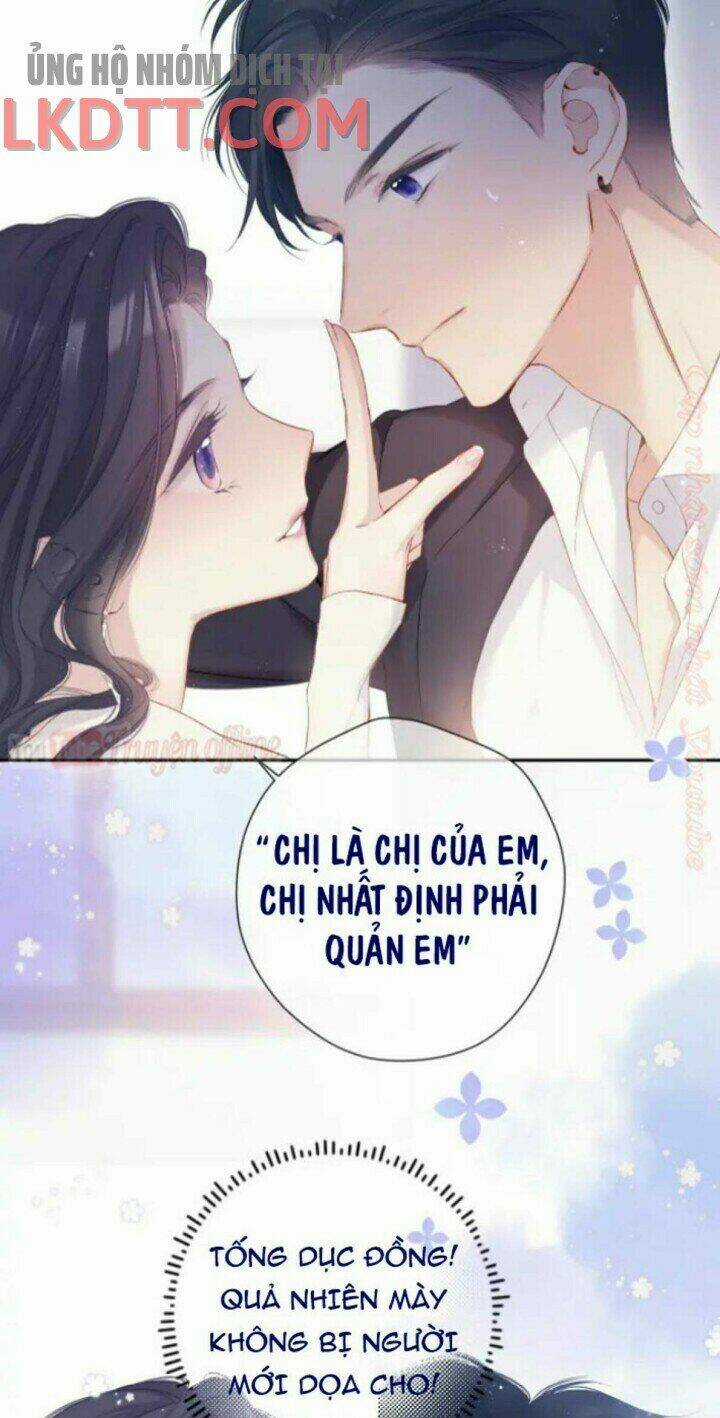 Bảo Vệ Siêu Sao Của Tôi Chapter 91 trang 4