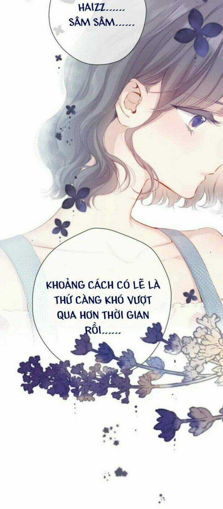 Bảo Vệ Siêu Sao Của Tôi Chapter 92 trang 12