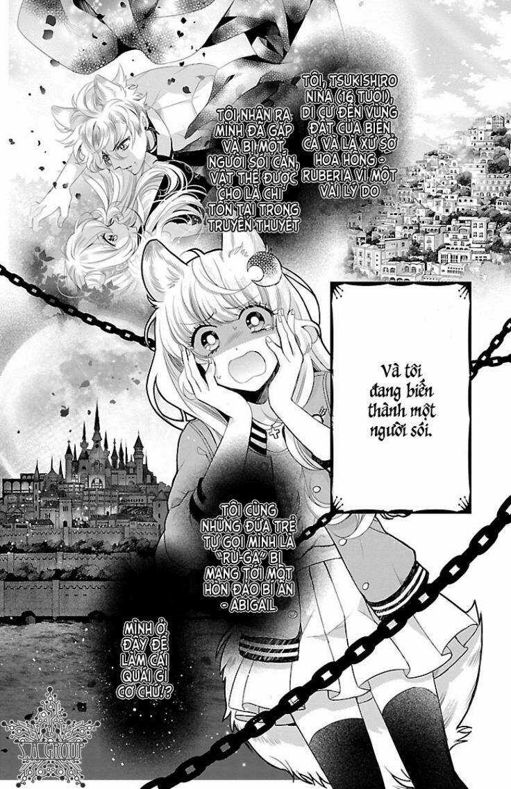 Bara Kangoku No Kemono-Tachi Chapter 2 trang 4