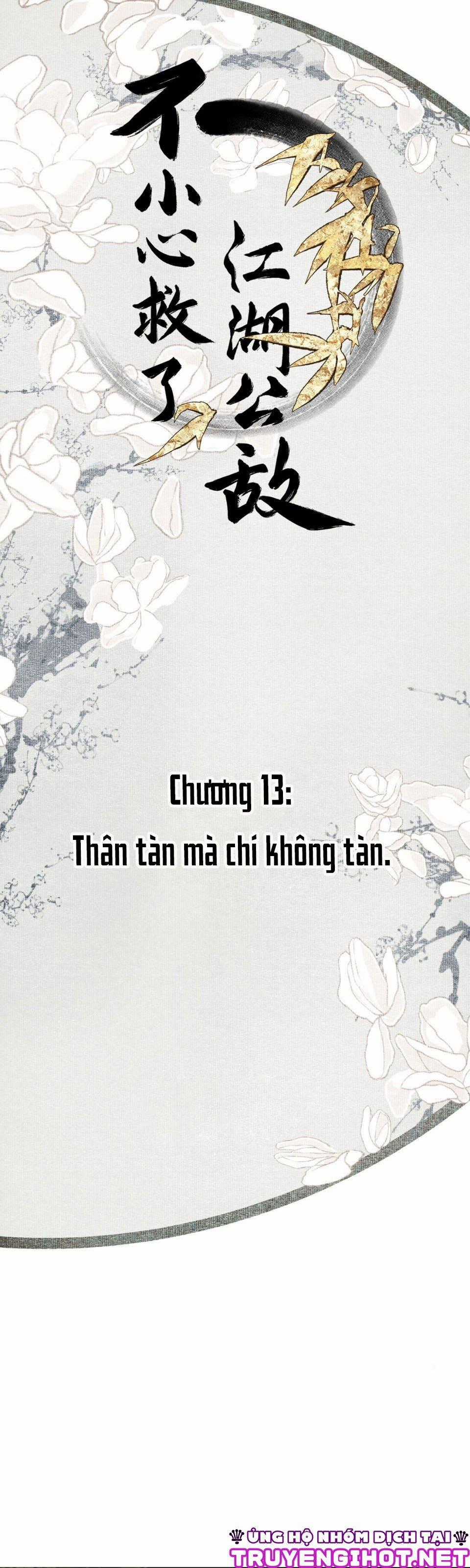 Bất Cẩn Cứu Nhầm Kẻ Thù Của Võ Lâm Chapter 13 trang 0