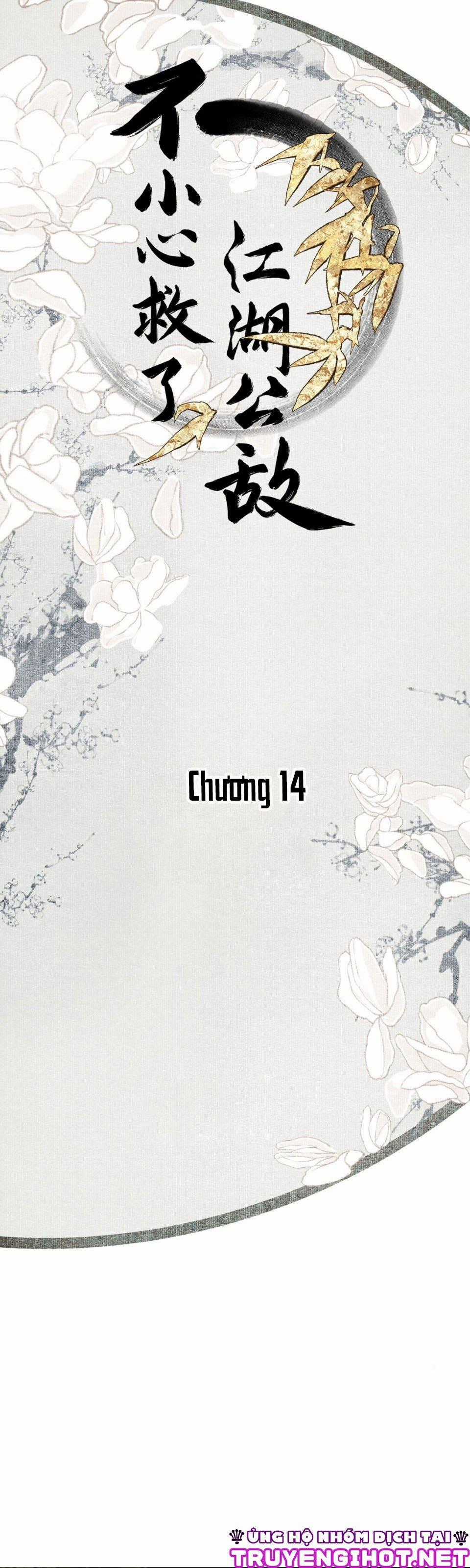 Bất Cẩn Cứu Nhầm Kẻ Thù Của Võ Lâm Chapter 14 trang 0