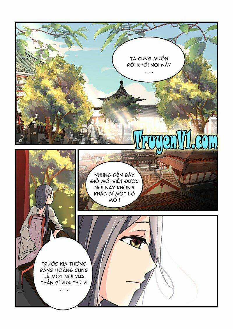 Bắt Cóc Hoàng Đế Về Hiện Đại Chapter 13 trang 3