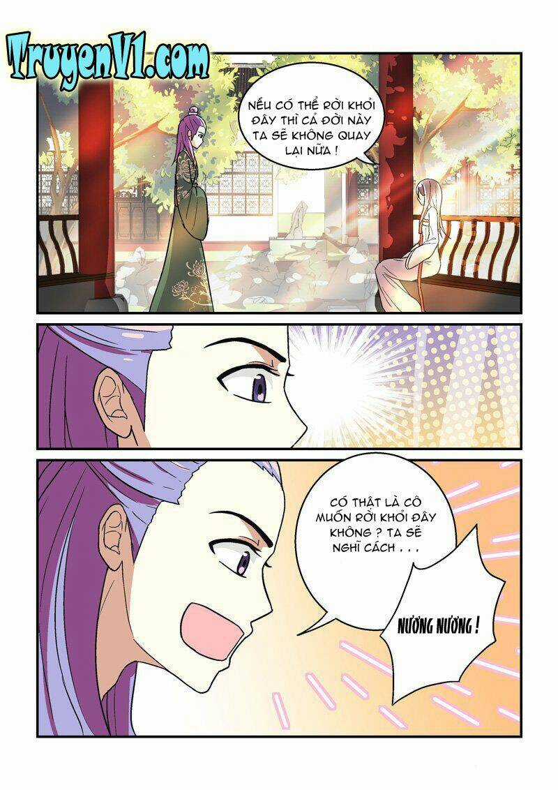 Bắt Cóc Hoàng Đế Về Hiện Đại Chapter 13 trang 4