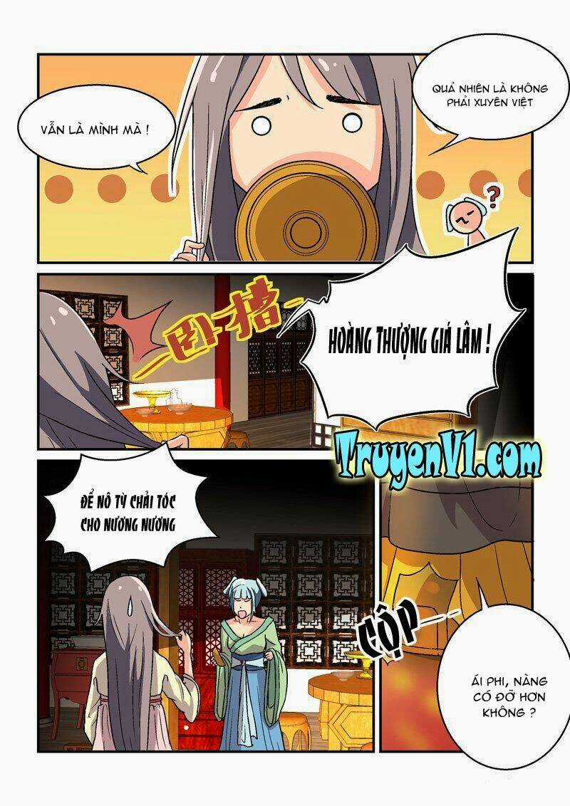 Bắt Cóc Hoàng Đế Về Hiện Đại Chapter 2 trang 5