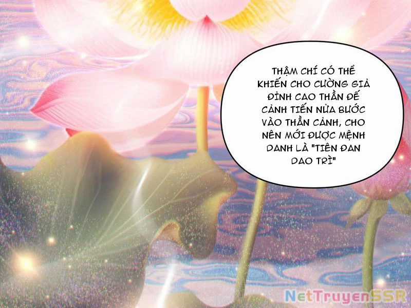 Bắt Đầu Chấn Kinh Nữ Đế Lão Bà, Ta Vô Địch! Chapter 13 trang 109