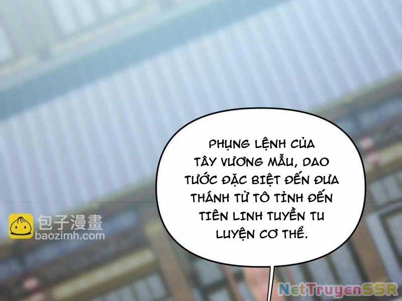 Bắt Đầu Chấn Kinh Nữ Đế Lão Bà, Ta Vô Địch! Chapter 14 trang 118