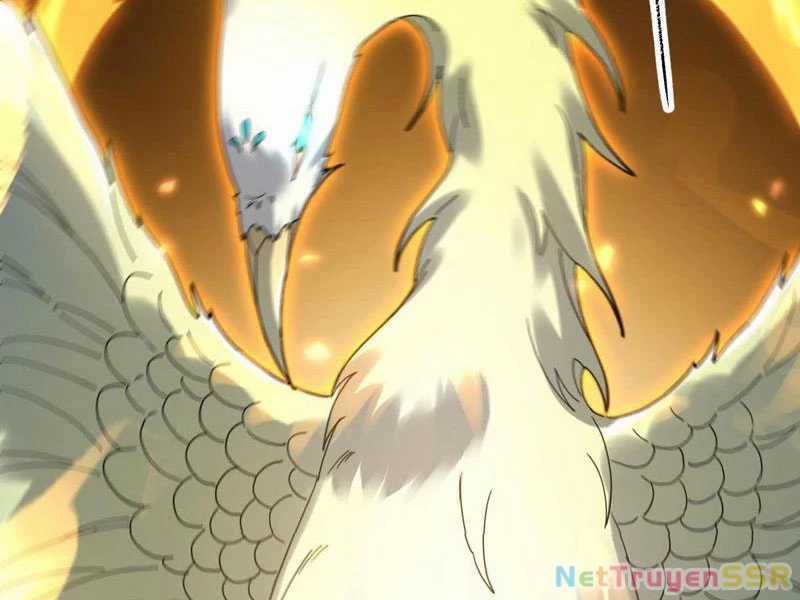 Bắt Đầu Chấn Kinh Nữ Đế Lão Bà, Ta Vô Địch! Chapter 14 trang 50