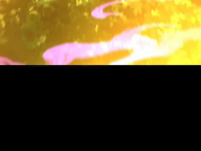 Bắt Đầu Chấn Kinh Nữ Đế Lão Bà, Ta Vô Địch! Chapter 34 trang 166