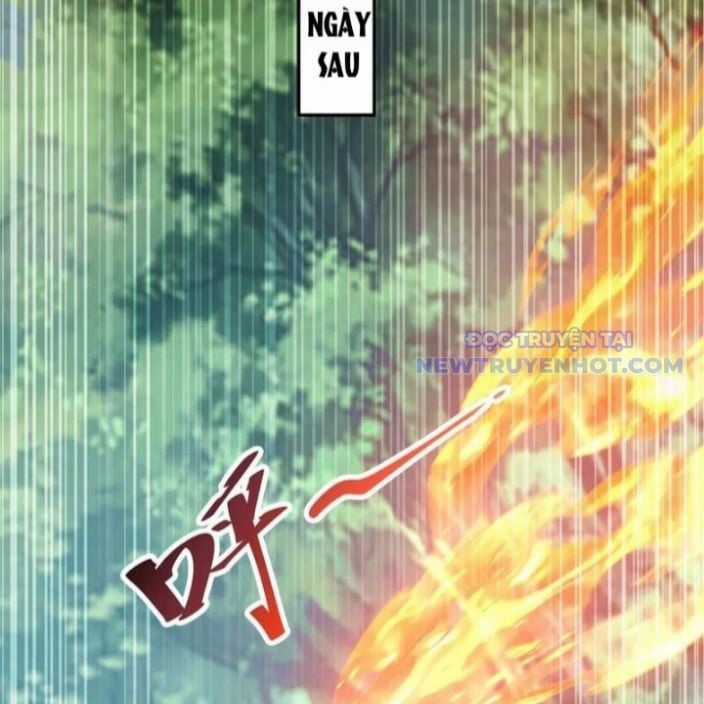 Bắt Đầu Chấn Kinh Nữ Đế Lão Bà, Ta Vô Địch! Chapter 62 trang 49