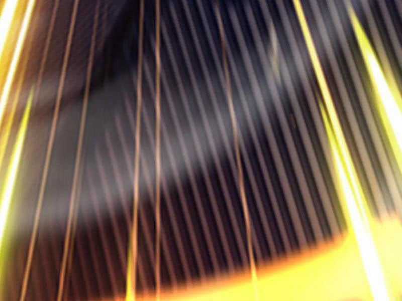 Bắt Đầu Chấn Kinh Nữ Đế Lão Bà, Ta Vô Địch! Chapter 63 trang 43