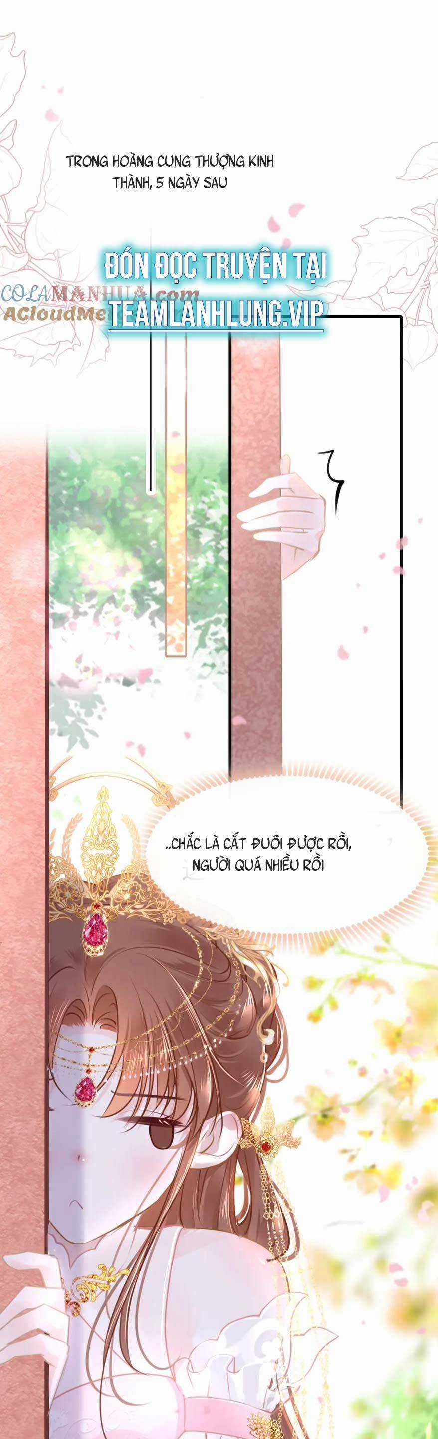 Bắt Đầu Hủy Hôn Để Công Lược Vương Gia Chapter 101 trang 21