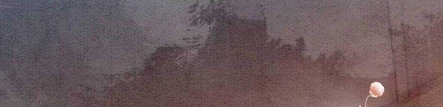 Bắt Đầu Hủy Hôn Để Công Lược Vương Gia Chapter 2 trang 56