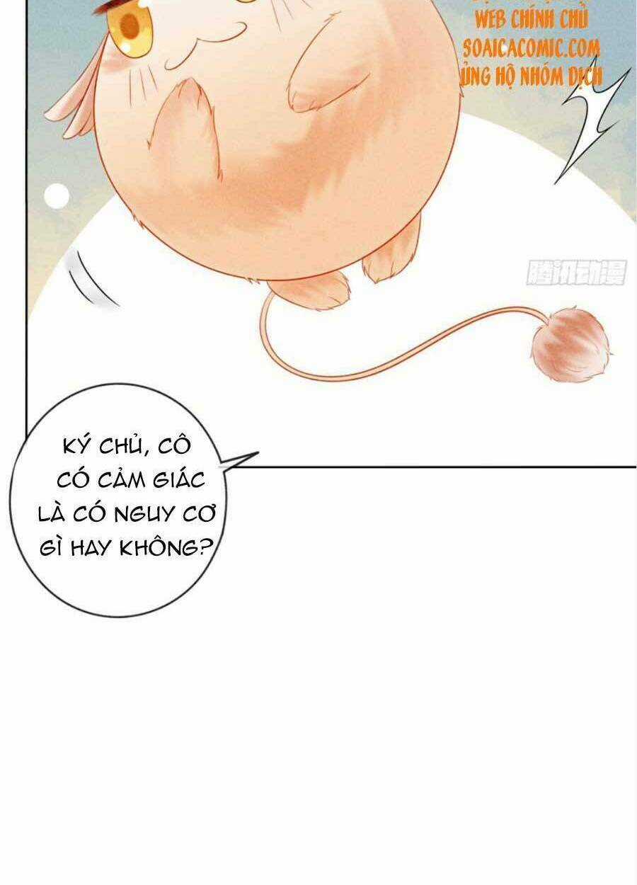 Bắt Đầu Hủy Hôn Để Công Lược Vương Gia Chapter 26 trang 14