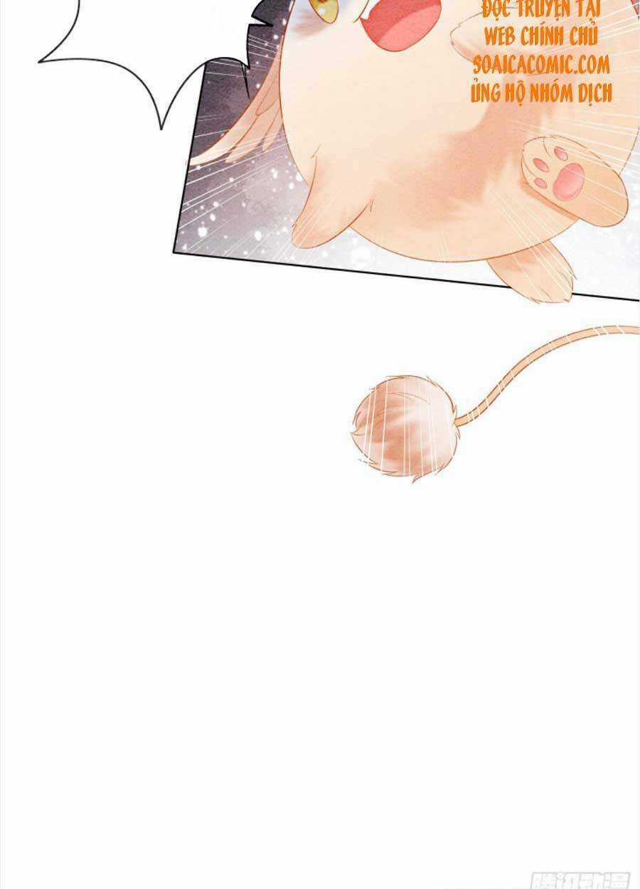 Bắt Đầu Hủy Hôn Để Công Lược Vương Gia Chapter 27 trang 59