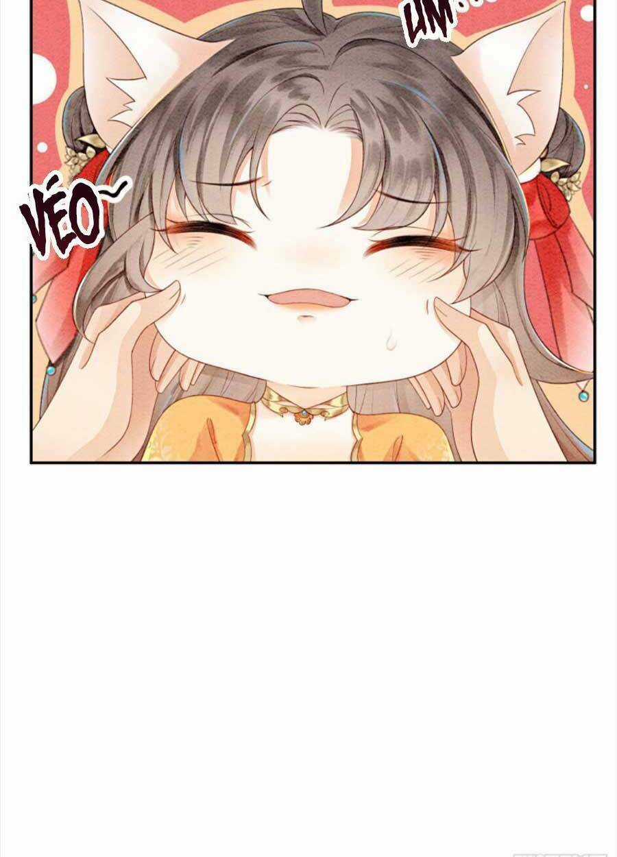 Bắt Đầu Hủy Hôn Để Công Lược Vương Gia Chapter 29 trang 36