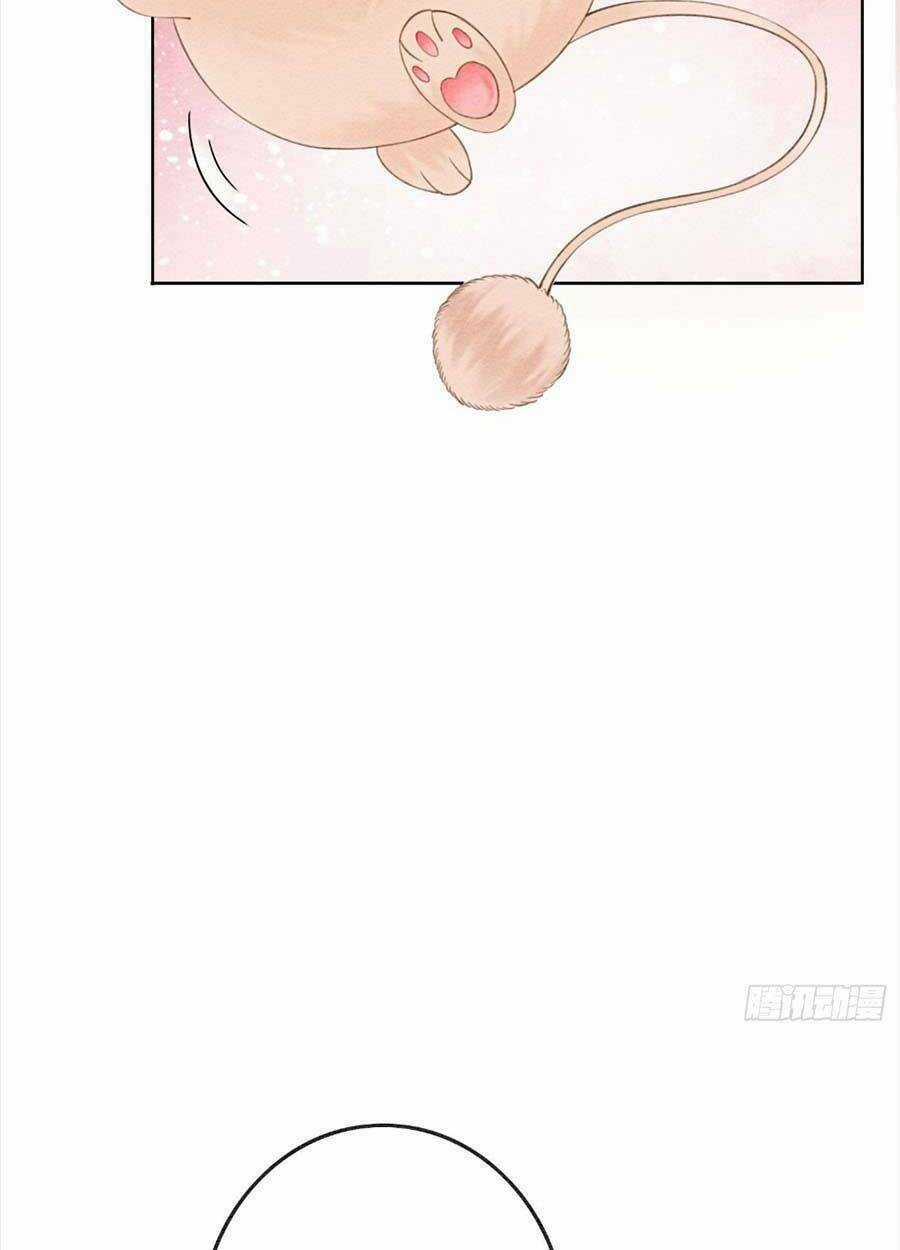 Bắt Đầu Hủy Hôn Để Công Lược Vương Gia Chapter 34 trang 47