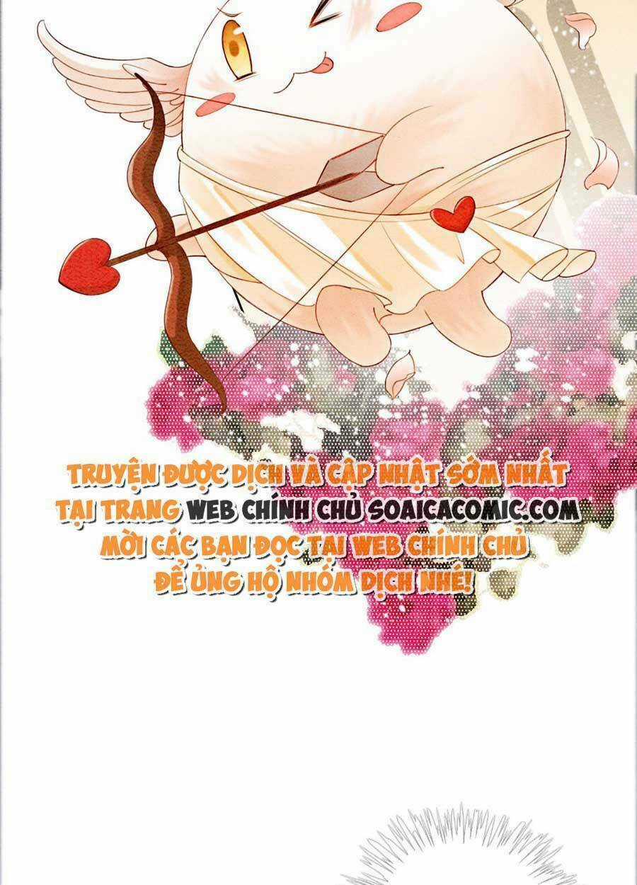 Bắt Đầu Hủy Hôn Để Công Lược Vương Gia Chapter 40 trang 20